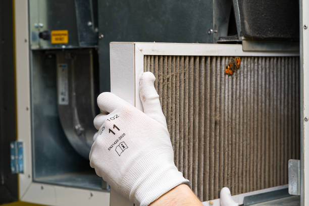 Best Ductwork Cleaning Services  in Surprise, AZ