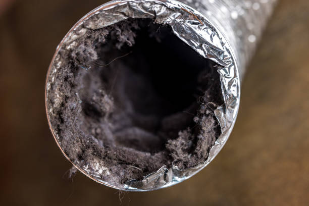 Best Local Air Duct Cleaning Services  in Surprise, AZ